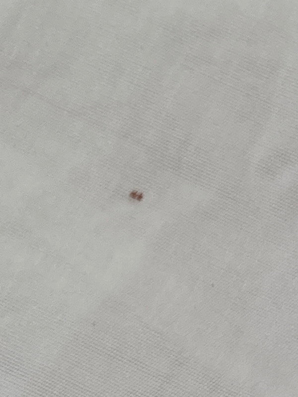 【中古品】【メンズ】 DSQUARED2 ディースクエアード WHITE SHIRT S74DM0508 ホワイト シャツ メンズ トップス 長袖シャツ 141-240907-em-8-min サイズ:42 カラー:ホワイト 万代Net店