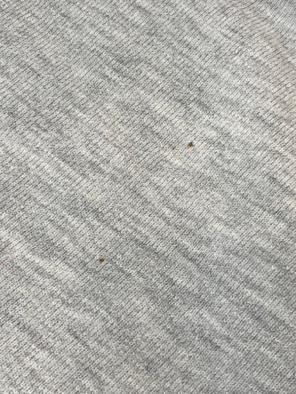 【現状渡し品】【メンズ】 Champion チャンピオン 80'S REVERSE WEAVE SWEATSHIRT "DETROIT COUNTRY DAY" スウェット トレーナー 146-250304-AS-32-min サイズ:L カラー:グレー 万代Net店