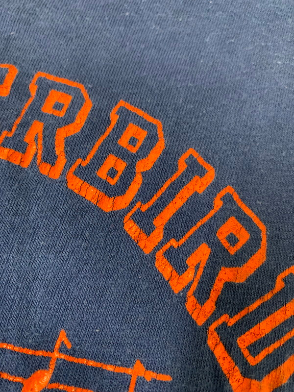 【現状渡し品】【メンズ】 SPORT-T BY STEDMAN ステッドマン 70-80S THUNDERBIRD CHOIR TEE Tシャツ トップス 146-250427-ks-29-min サイズ:M カラー:ブルー系 万代Net店