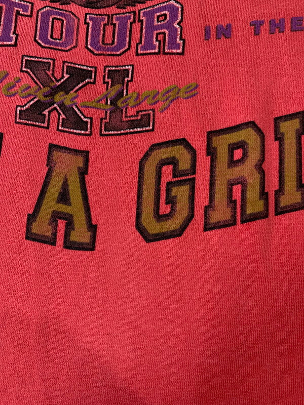 【中古品】【メンズ】 AEROSMITH エアロスミス 90S GET A GRIP WORLD TOUR TEE Tシャツ トップス 146-250503-ks-05-min サイズ:L カラー:ピンク系 万代Net店