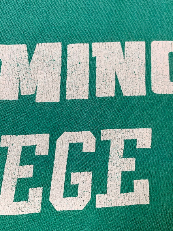 【現状渡し品】【メンズ】 COLLEGIATE PACIFIC カレッジエイトパシフィック 80-90'S FOOTBALL TEE ショートスリーブ 146-250610-AS-46-min サイズ:M カラー:グリーン 万代Net店