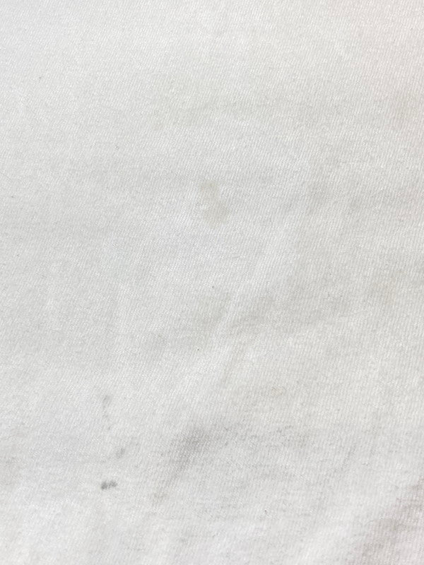 【現状渡し品】【メンズ】 HANES ヘインズ 90'S JIM FRANKLIN ARMADILLO POSTER PRINT TEE ショートスリーブ 146-250630-AS-17-min サイズ:M カラー:ホワイト 万代Net店