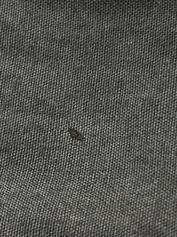 【中古品】【メンズ】 HARLEY-DAVIDSON ハーレーダビッドソン FIRE PATTERN CUT OFF SHIRT 96662-12VM ファイヤーパターン カットオフ シャツ 146-260509-na-15-tag サイズ:M カラー:マルチカラー 万代Net店