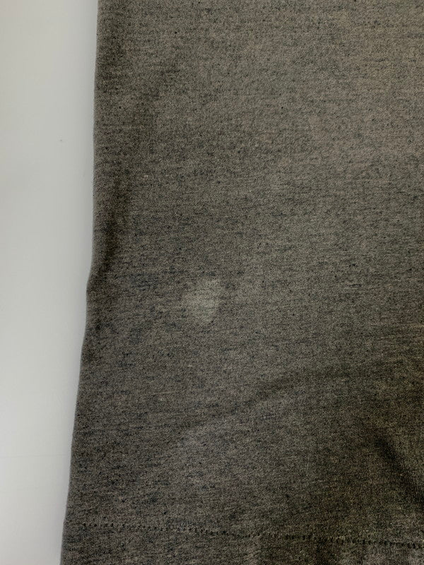 【現状渡し品】【メンズ】 HARLEY DAVIDSON ハーレーダビッドソン 80S DAYTONA BEACH TEE Tシャツ トップス 146-251012-ks-21-min サイズ:L カラー:グレー 万代Net店