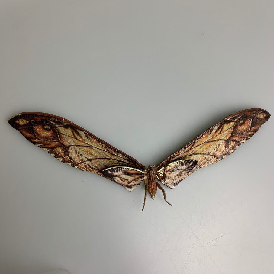 【中古品】 S.H.MonsterArts SUKO & MOTHRA (2024) ゴジラ×コング 新たなる帝国 特撮フィギュア 055-260326-SH-12-min 万代Net店