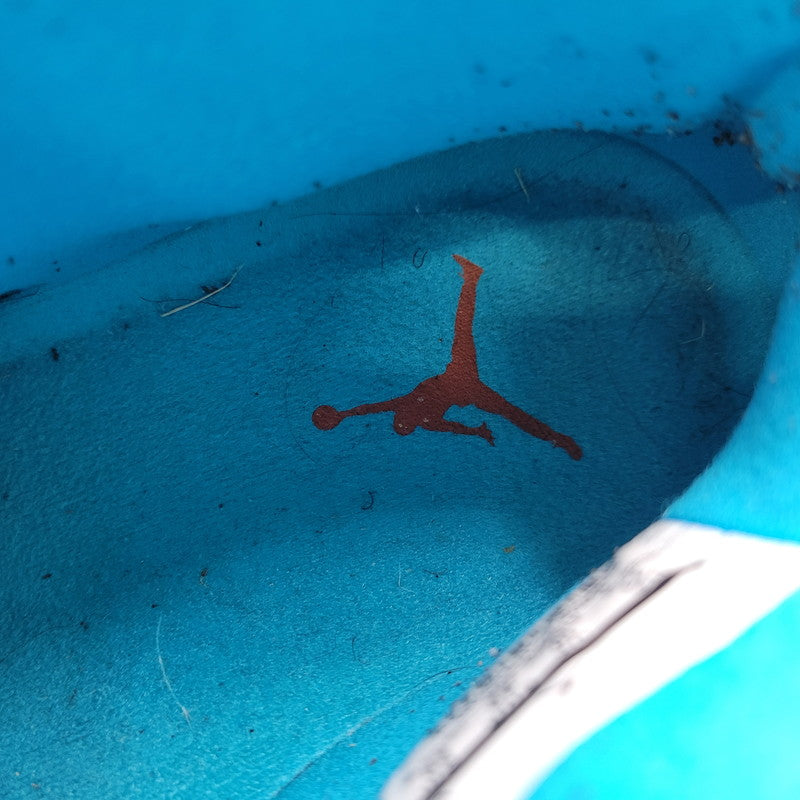 【中古品】【メンズ】 310805-408 AIR JORDAN 10 エアジョーダン10 スニーカー シューズ 靴 160-260128-kk-03-izu サイズ:29.0cm カラー:ハラチライト 万代Net店