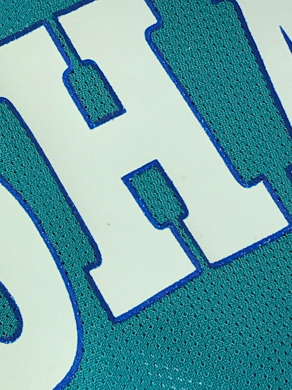 【中古品】【メンズ】 Champion チャンピオン 90's NBA CHARLOTTE HORNETS シャーロットホーネッツ メッシュタンクトップ ゲームシャツ 146-240714-hi-09-tag サイズ:40 カラー:ライトブルー 万代Net店