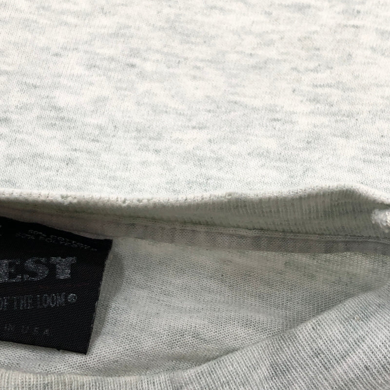 【中古品】【メンズ】 FRUIT OF THE LOOM フルーツオブザルーム 90S NEVADA PRINT S/S TEE ネバダ プリント 半袖Tシャツ トップス 146-260801-hn-03-fur サイズ:M カラー:グレー系 万代Net店