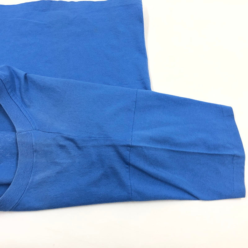 【中古品】【メンズ】 Anvil アンヴィル MOSS FIRE BIRD PRINT S/S TEE ファイアバード プリント 半袖Tシャツ ヴィンテージ トップス 146-260423-hn-03-fur サイズ:L カラー:ブルー 万代Net店