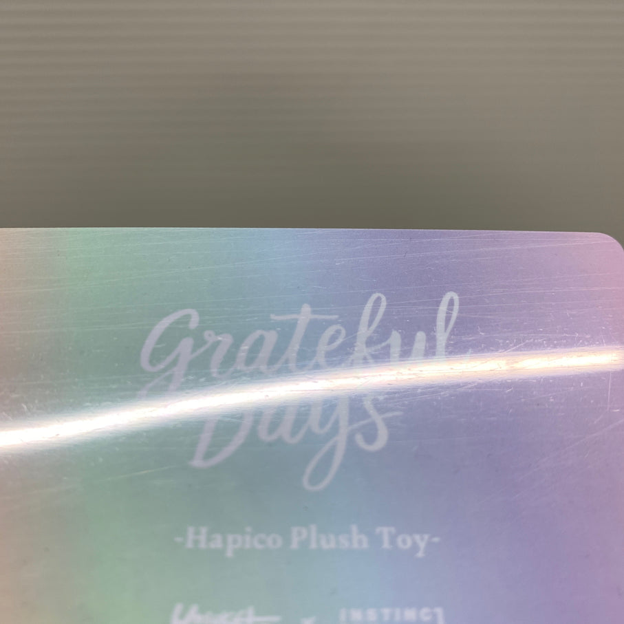 【現状渡し品】 INSTINCTOY grateful Days Hapico Plush ぬいぐるみ キーホルダー 黒 038-261016-YT-01-min 万代Net店