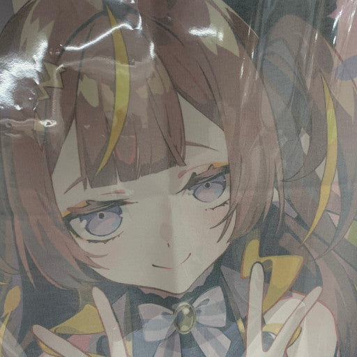 【中古品】 ホロライブ 夏祭り 2021 横型 B2 タペストリー ホロライブインドネシア 053-260906-mo-11-fur 万代Net店
