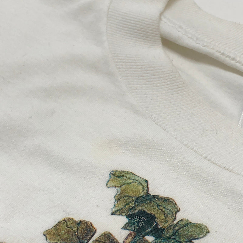 【現状渡し品】【メンズ】 JERZEES ジャージーズ CHICKADEE PRINT S/S TEE 小鳥プリント Tシャツ 半袖 トップス 古着 ヴィンテージ 146-260623-rs-05-fur サイズ:2X(2XL) カラー:ホワイト 万代Net店