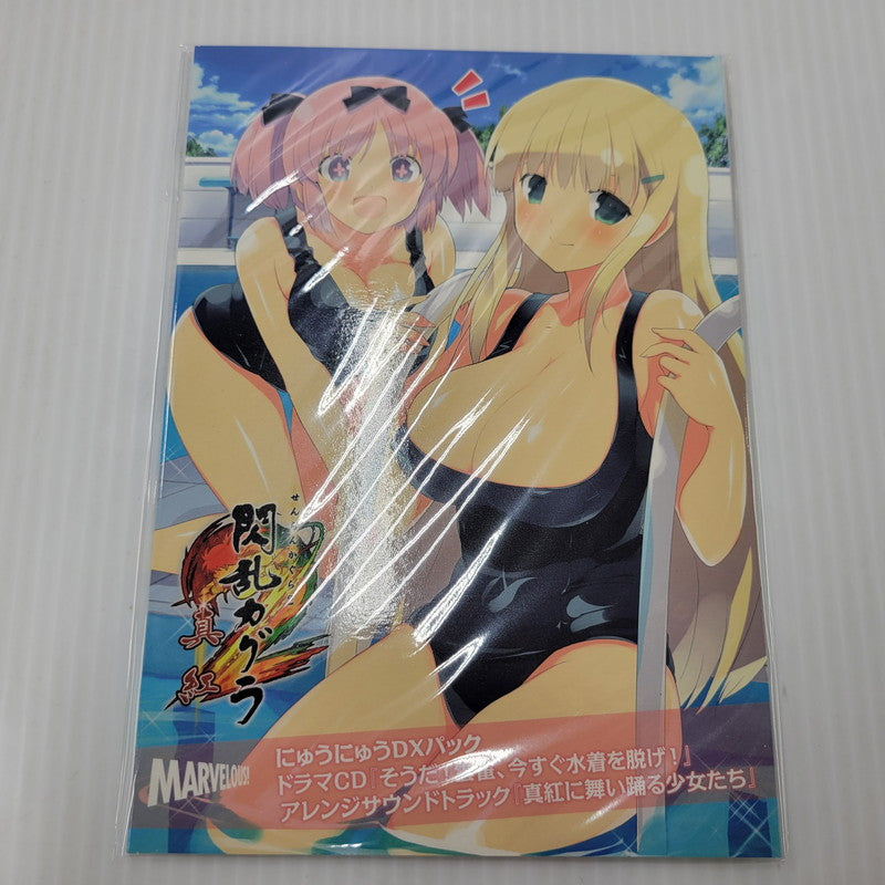 【中古美品】 【未使用】【ゲーム】閃乱カグラ2-真紅-にゅうにゅうDXパック CERO区分_D 17歳以上対象 任天堂 3DSソフト  030-250202-mm-1-izu 万代Net店