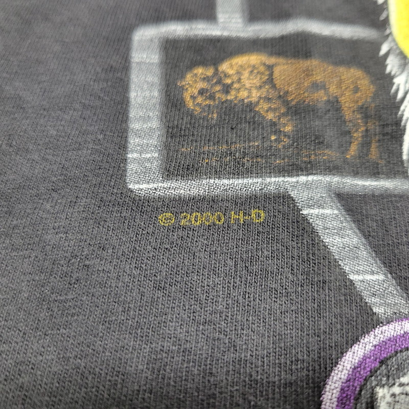 【中古品】【メンズ】 HARLEY DAVIDSON ハーレーダビッドソン c1997 c2000 BLACK HILLS RALLY 60TH EAGLE PRINT SS TEE プリント 半袖 Tシャツ USA製 146-260527-as-26-izu サイズ：L カラー：ブラック 万代Net店