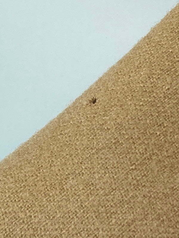 【現状渡し品】【レディース】 PENDLETON ペンドルトン 70S 100％VIRGIN WOOL ステンカラーコート USA製 アウター 168-241121-yn-27-min サイズ：下記参照 カラー：カーキ 万代Net店