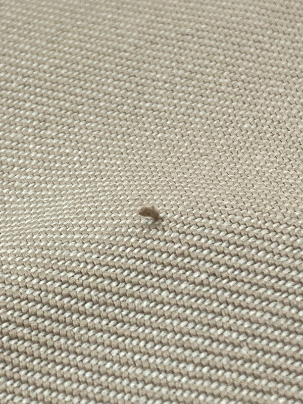 【中古品】【レディース】 6 ROKU BEAUTY&YOUTH TUCK PANTS 8614-202-0126 ロク ビューティーアンドユース トラックパンツ ボトムス 172-240430-yn-17-min サイズ：36 カラー：ベージュ 万代Net店