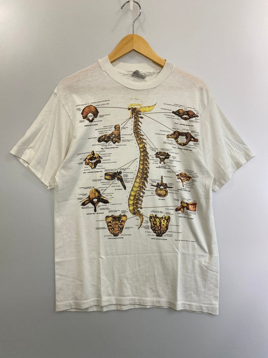 【現状渡し品】【メンズ】  HANES-FIFTY FIFTY- ヘインズフィフティフィフティ USA製 80S c1987 ANATOMICAL CHART T-SHIRT 半袖 146-250121-AS-40-min サイズ：L カラー：ホワイト 万代Net店