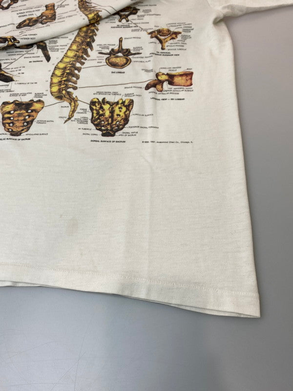 【現状渡し品】【メンズ】 HANES-FIFTY FIFTY- ヘインズフィフティフィフティ USA製 80S c1987 ANATOMICAL CHART T-SHIRT 半袖 146-250121-AS-40-min サイズ：L カラー：ホワイト 万代Net店