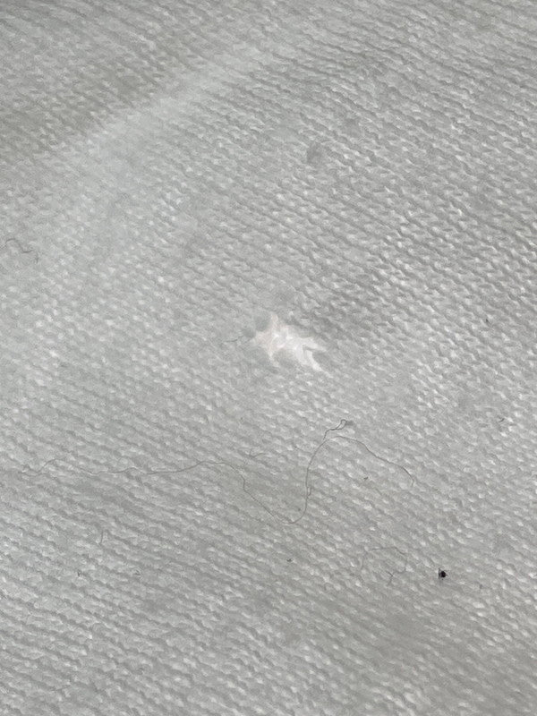 【中古品】【メンズ】 USED 90’S ”FIRENZE"TEE 半袖Tシャツ 146-241106-AS-20-min サイズ：M カラー：ホワイト 万代Net店