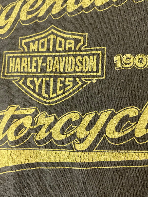 【中古品】【メンズ】 HARLEY DAVIDSON ハーレーダビッドソン S/S PRINT TEE ショートスリーブ プリントTシャツ 半袖Tシャツ トップス 146-241202-yn-29-min カラー：オリーブグリーン 万代Net店