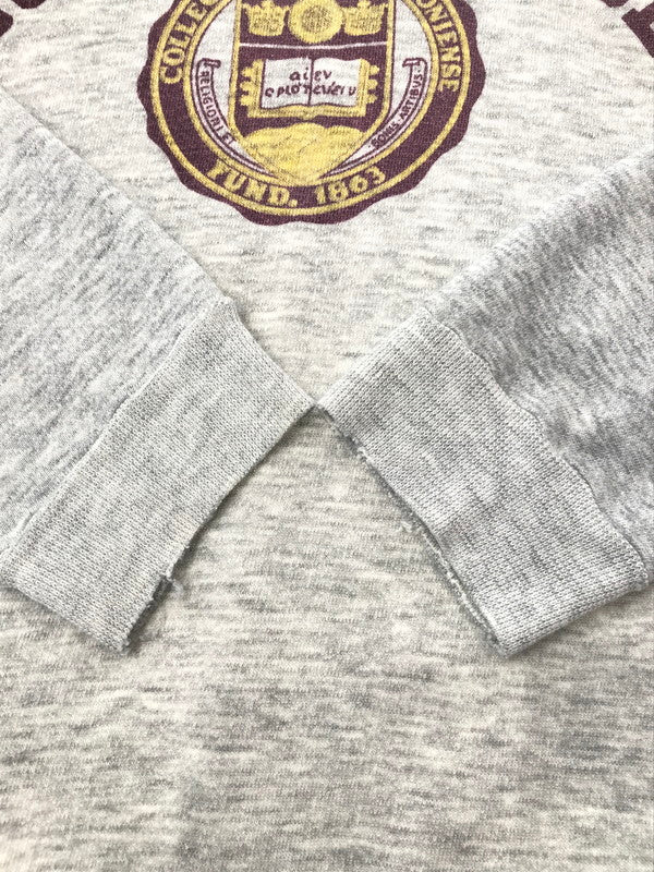 【現状渡し品】【メンズ】 CHAMPION チャンピオン 80's COLLEGE SWEAT SHIRT 後期 トリコタグ 80年代 カレッジ スウェット シャツ トレーナー ヴィンテージ トップス 146-260503-rt-07-tag サイズ：XL カラー：グレー 万代Net店