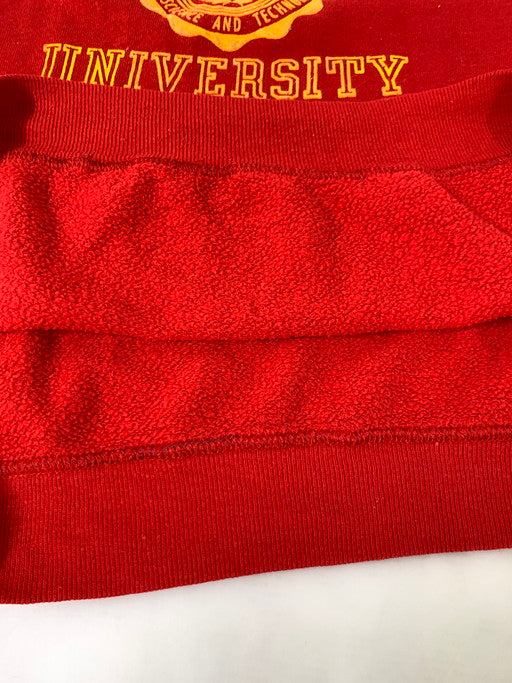 【中古品】【メンズ】 COLLEGIATE PACIFIC カレッジエイトパシフィック 70S IOWA STATE SWEATSHIRT スウェットシャツ 146-250227-ks-06-min サイズ：XL カラー：レッド 万代Net店