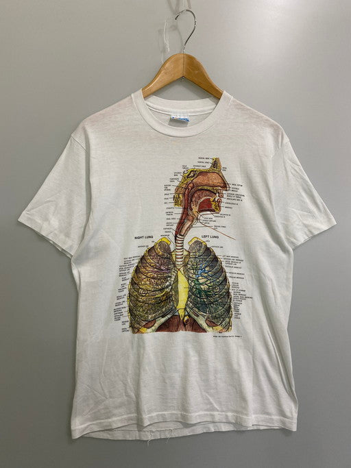 【中古品】【メンズ】  HANES ヘインズ 1982 1987 ANATOMICAL CHART TEE 半袖 ショートスリーブ 146-250225-AS-51-min サイズ：L カラー：ホワイト 万代Net店