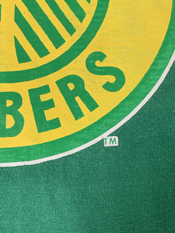【中古品】【メンズ】 Champion チャンピオン 70S PORTLAND TIMBERS TEE 70年代 ポートランド ティンバーズ Tシャツ メンズ トップス 半袖 146-250324-em-06-min サイズ：L カラー：グリーン 万代Net店