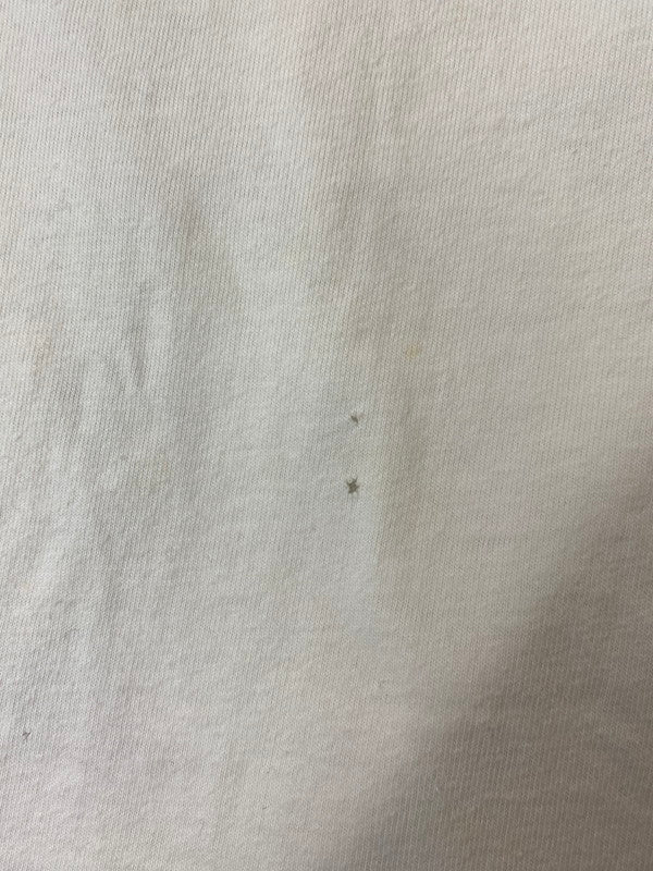 【現状渡し品】【メンズ】 OLD STUSSY オールドステューシー 00S BRUCE LEE TEE Tシャツ トップス 142-250419-ks-04-min サイズ：L カラー：ホワイト 万代Net店