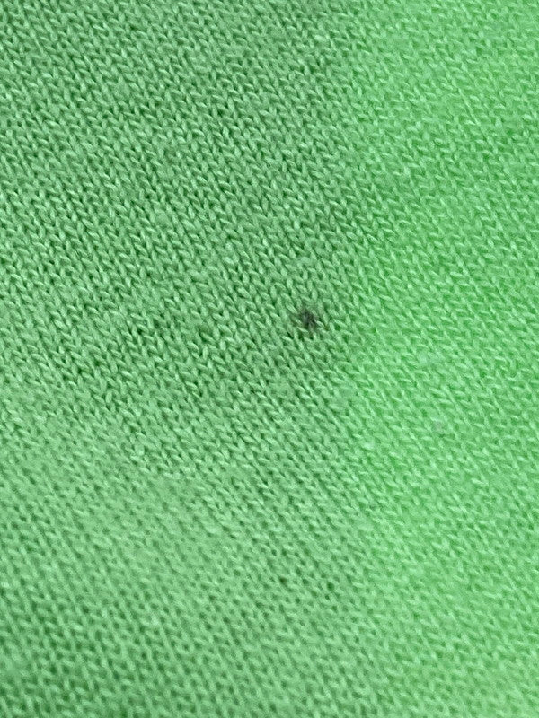 【中古品】【メンズ】 USED ユーズド c2004 THE BRIEFS BAND TEE Tシャツ トップス 146-250423-ks-38-min サイズ：M カラー：ライトグリーン 万代Net店