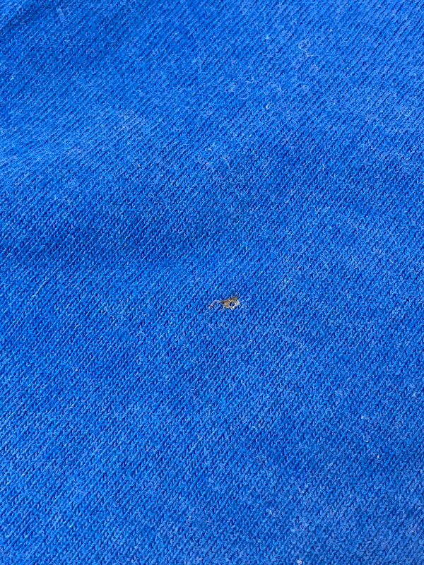 【中古品】【メンズ】 FRUIT OF THE LOOM フルーツ オブ ザ ルーム 00'S STEREOLAB PRINT TEE プリント Tシャツ トップス 146-250427-ks-43-min サイズ：M カラー：ブルー 万代Net店