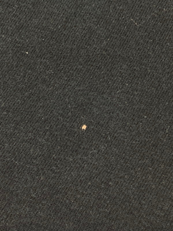 【現状渡し品】【メンズ】 USED ユーズド PIXIES JAPAN TOUR TEE Tシャツ トップス 146-250427-ks-38-min サイズ：不明 万代Net店