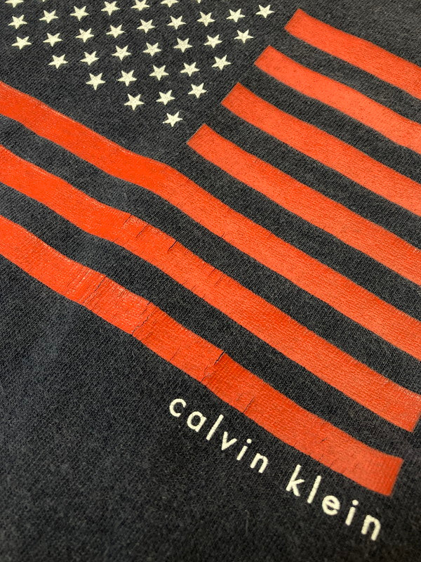 【中古品】【メンズ】 CALVIN KLEIN 90's AMERICAN FLAG TEE カルバンクライン ショートスリーブTシャツ 半袖Tシャツ トップス 146-250508-yn-20-min サイズ：L カラー：ネイビー 万代Net店