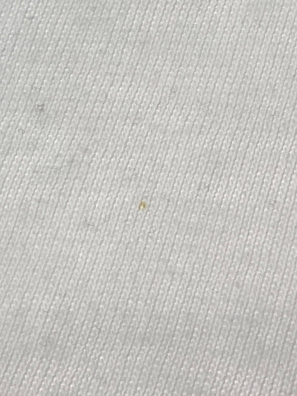 【中古品】【メンズ】 Champion チャンピオン 60's RUTGERS FOOTBALL TEE ショートスリーブTシャツ 半袖Tシャツ トップス 146-250508-yn-03-min サイズ：L カラー：ホワイト 万代Net店