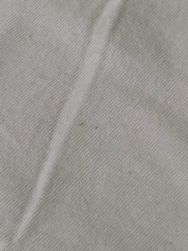 【中古品】【メンズ】 Champion チャンピオン DOMINO PIZZA RINGER TEE ショートスリーブTシャツ 半袖Tシャツ トップス バータグ 146-250513-yn-11-min サイズ：M カラー：ホワイト 万代Net店