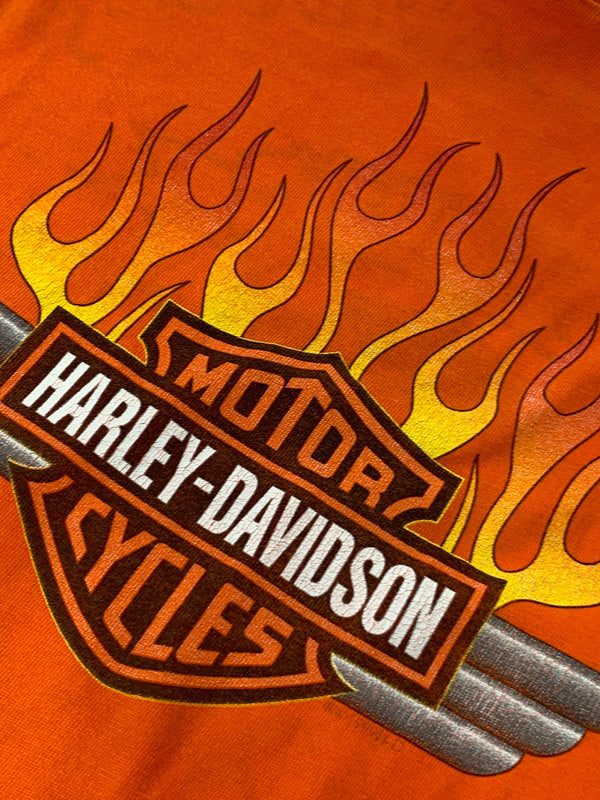 【現状渡し品】【メンズ】 HARLEY DAVIDSON ハーレーダビッドソン ファイヤーパターン LS PRINT TEE ロングスリーブ 146-250524-AS-22-min サイズ：XXL カラー：オレンジ 万代Net店