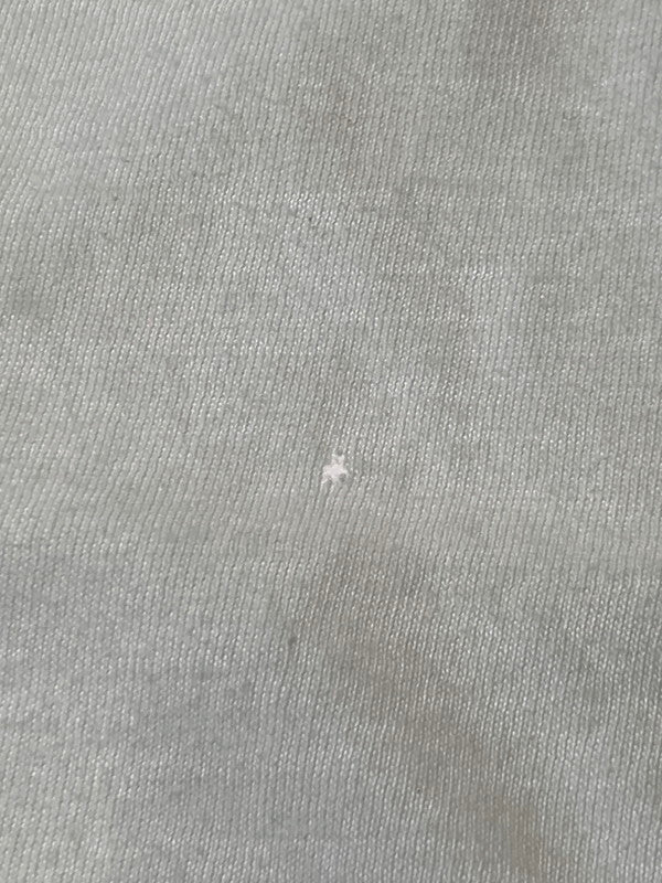 【現状渡し品】【メンズ】 LEE PERRY リー・ペリー ROAST DUCK PRINT TEE ショートスリーブ 146-250526-AS-17-min カラー：ホワイト 万代Net店