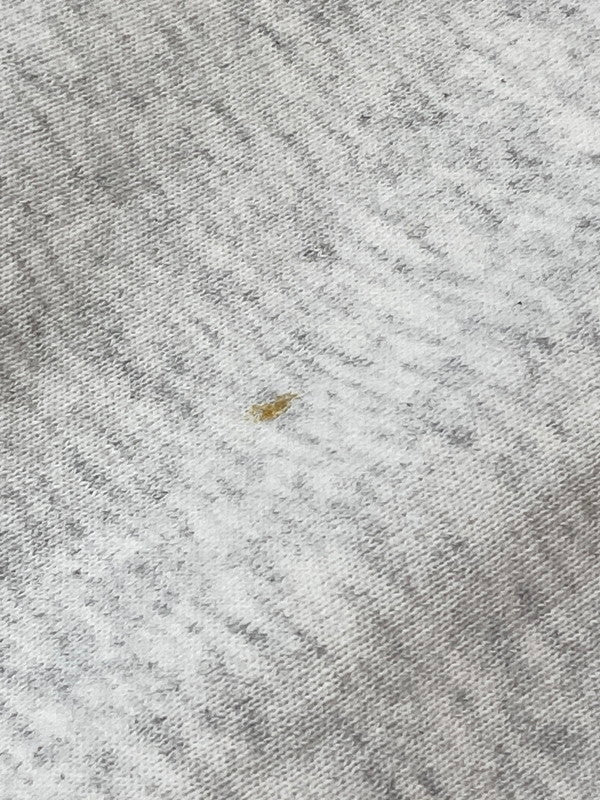 【中古品】【メンズ】 DIPORT USA 80S SANTA MONICA PRINT SWEAT SHIRT スウェット トレーナー 146-250617-AS-50-min サイズ：L カラー：オフホワイト系 万代Net店