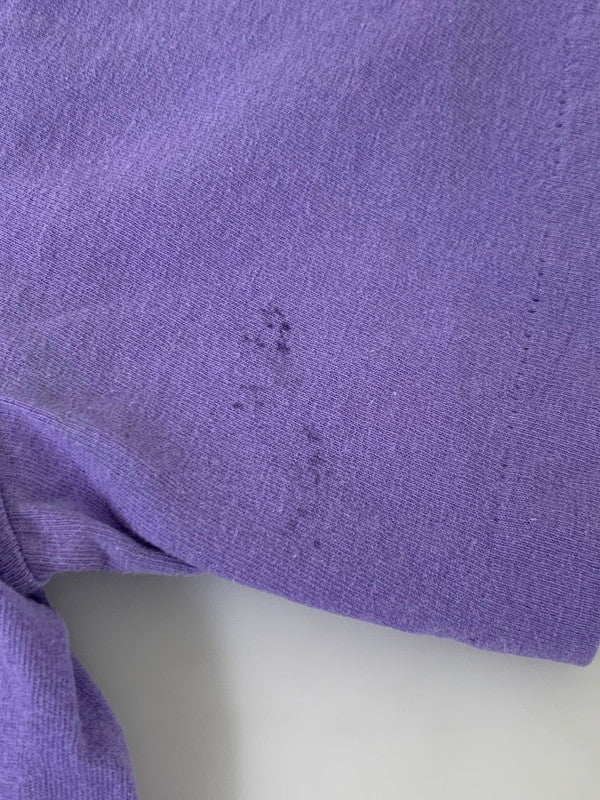 【中古品】【メンズ】 LOONEY TUNES ルーニー・テューンズ 90S NOT IN THIS LIFE TIME TEE 90年代 プリントTシャツ トップス 146-250616-jt-14-min カラー：パープル 万代Net店