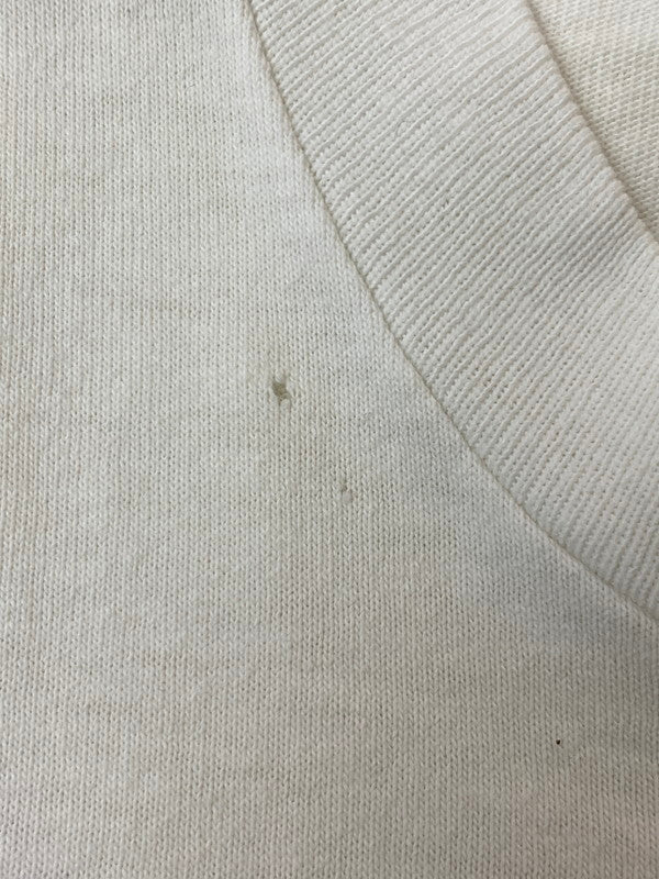 【中古品】【メンズ】 LAYS POTATO CHIPS レイズポテトチップス 90'S SNACKOSAURUS PRINT TEE 90年代 スナックザウルス プリント Tシャツ メンズ トップス 146-250620-em-27-min サイズ：L カラー：ホワイト 万代Net店