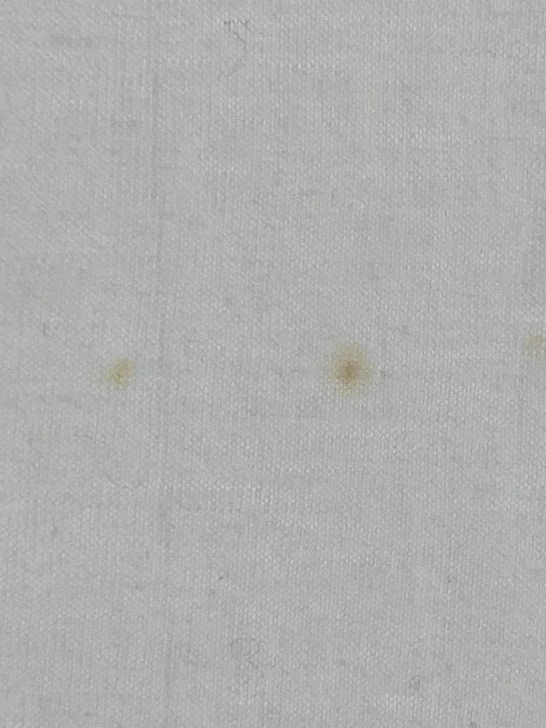 【中古品】【メンズ】 FRANZ SCHUBERT ANGELA BALDINGER DESIGN TEE アンジェラ・リンドヴァル デザイン Tシャツ フランツ・シューベルト プリント 半袖 146-250629-em-36-min サイズ：S カラー：ホワイト 万代Net店