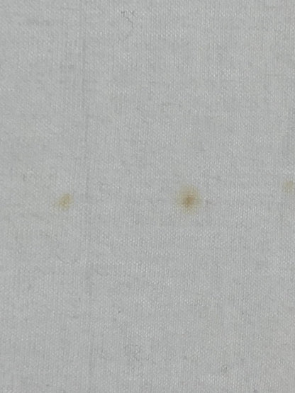 【中古品】【メンズ】 FRANZ SCHUBERT ANGELA BALDINGER DESIGN TEE アンジェラ・リンドヴァル デザイン Tシャツ フランツ・シューベルト プリント 半袖 146-250629-em-36-min サイズ：S カラー：ホワイト 万代Net店