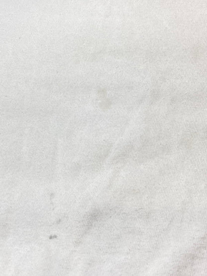 【現状渡し品】【メンズ】 HANES ヘインズ 90'S JIM FRANKLIN ARMADILLO POSTER PRINT TEE ショートスリーブ 146-250630-AS-17-min サイズ：M カラー：ホワイト 万代Net店