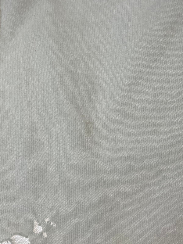 【現状渡し品】【メンズ】 GILDAN ギルダン 90-00'S DIA DE LOS MUERTOS PRINT TEE ショートスリーブ 146-250630-AS-16-min サイズ：L カラー：ホワイト 万代Net店