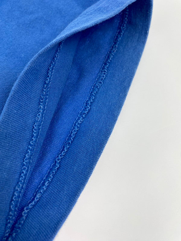 【中古品】【メンズ】 MOSS FIRE BIRD TEE モス Tシャツ メンズ トップス 半袖 アメリカ製 ファイア バード 146-250707-em-11-min カラー：ブルー 万代Net店