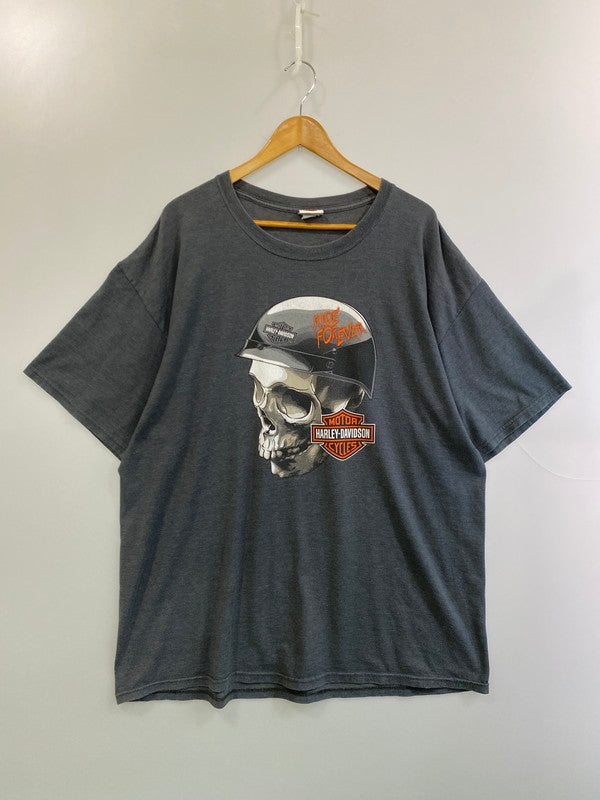 【現状渡し品】【メンズ】 HARLEY DAVIDSON ハーレーダビッドソン CAPE FEAR SS PRINT TEE ショートスリーブ 146-250729-AS-37-min カラー：グレー 万代Net店