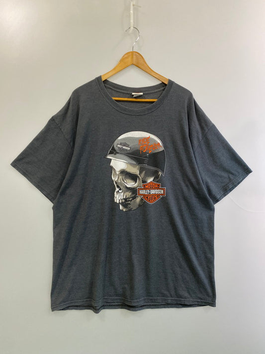 【現状渡し品】【メンズ】 HARLEY DAVIDSON ハーレーダビッドソン CAPE FEAR SS PRINT TEE ショートスリーブ 146-250729-AS-37-min カラー：グレー 万代Net店