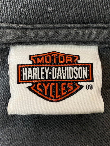 【現状渡し品】【メンズ】 HARLEY DAVIDSON ハーレーダビッドソン CAPE FEAR SS PRINT TEE ショートスリーブ 146-250729-AS-37-min カラー：グレー 万代Net店