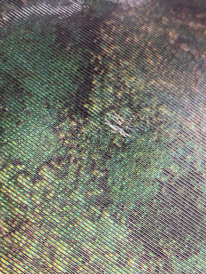 【中古品】【メンズ/レディース】 Jean Paul Gaultier ジャンポール・ゴルチェ V CYBER BOXER BAG サイバー ボクサー バッグ カバン 188-250808-jt-12-min カラー：マルチカラー 万代Net店