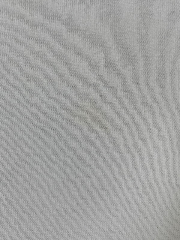 【中古品】【メンズ】 GILDAN ギルダン 00'S DRAGONFLY PRINT TEE ショートスリーブ 146-250902-AS-56-min サイズ：L カラー：ホワイト 万代Net店